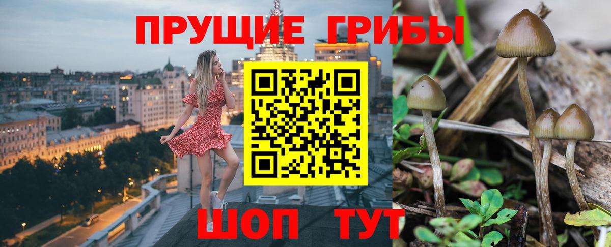 Галлюциногенные грибы ЛСД Псков