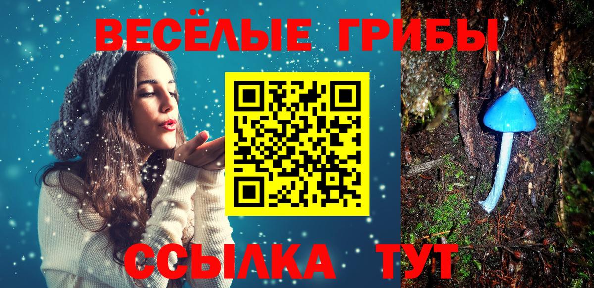 Псков  Галлюциногенные грибы Magic Shrooms  Вход с VPN 